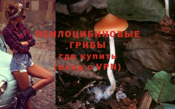 не бодяженный Абаза