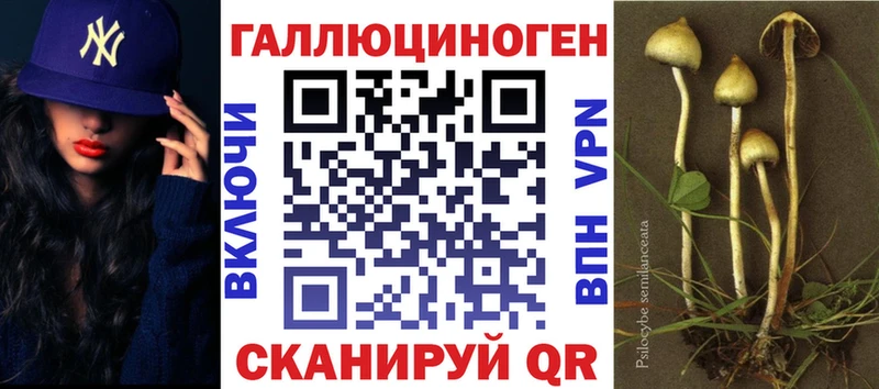 мега ссылка  Саратов  Галлюциногенные грибы Psilocybine cubensis 